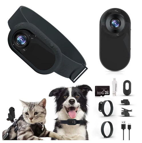 Paws Collar Wireless Pet Camera – Wearable Camera for Dogs & Cats
