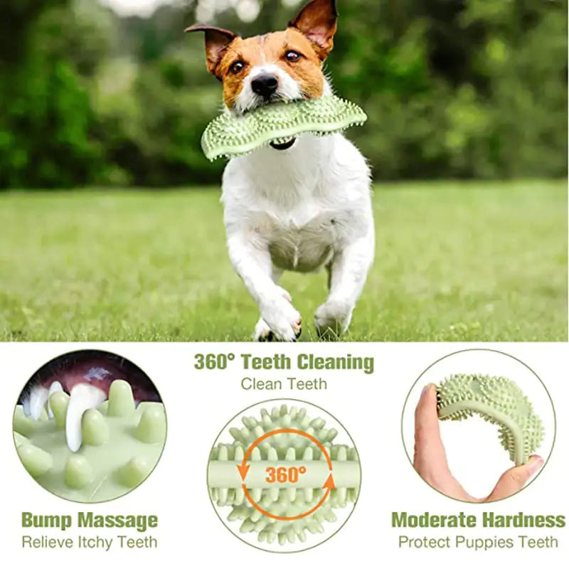 FunBite Interactive Dog Chew Toy – Durable Bite Toy for Puppies & Adult Dogs