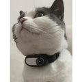 Paws Collar Wireless Pet Camera – Wearable Camera for Dogs & Cats