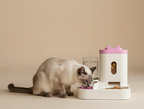 Whisker Pet Feeding Station with Water Bowl
