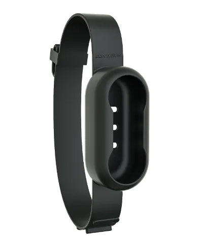 Paws Collar Wireless Pet Camera – Wearable Camera for Dogs & Cats