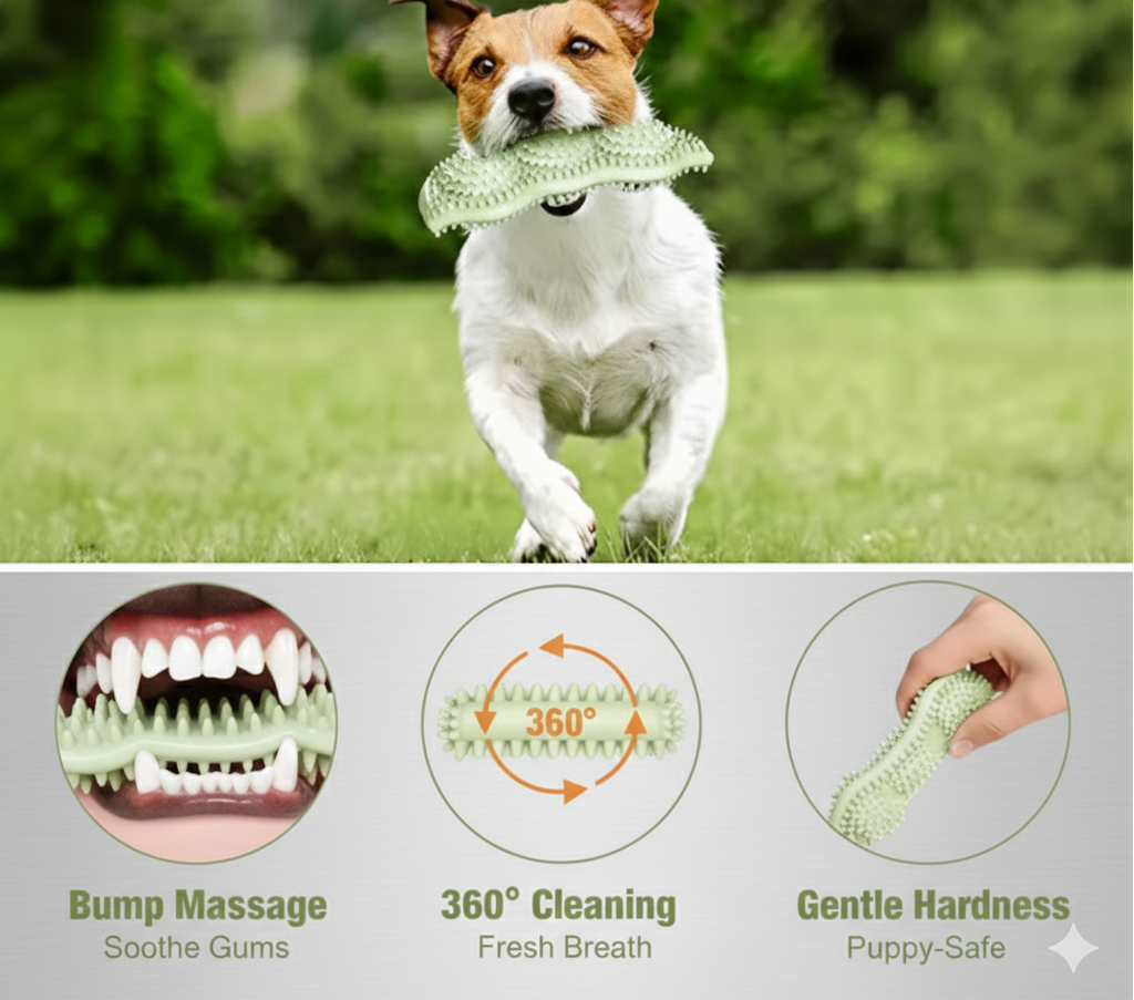 FunBite Interactive Dog Chew Toy – Durable Bite Toy for Puppies & Adult Dogs
