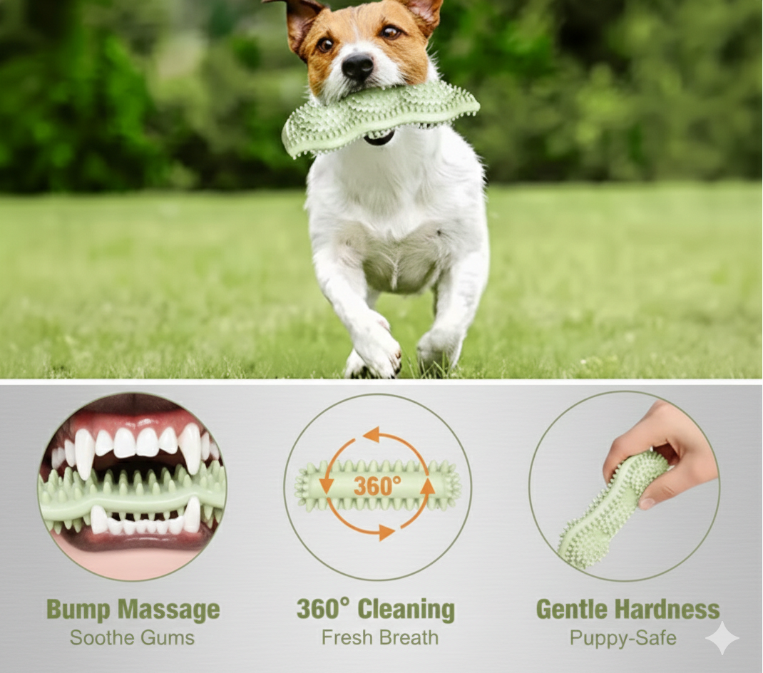 FunBite Interactive Dog Chew Toy – Durable Bite Toy for Puppies & Adult Dogs