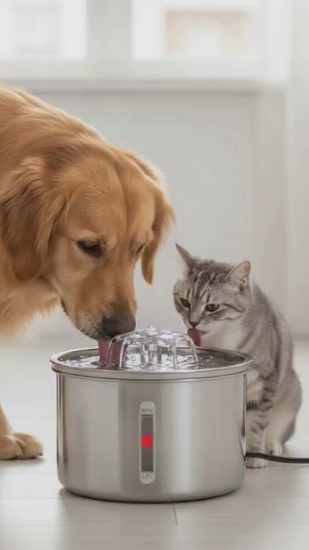 FurPaw Flowing Pet Water Fountain