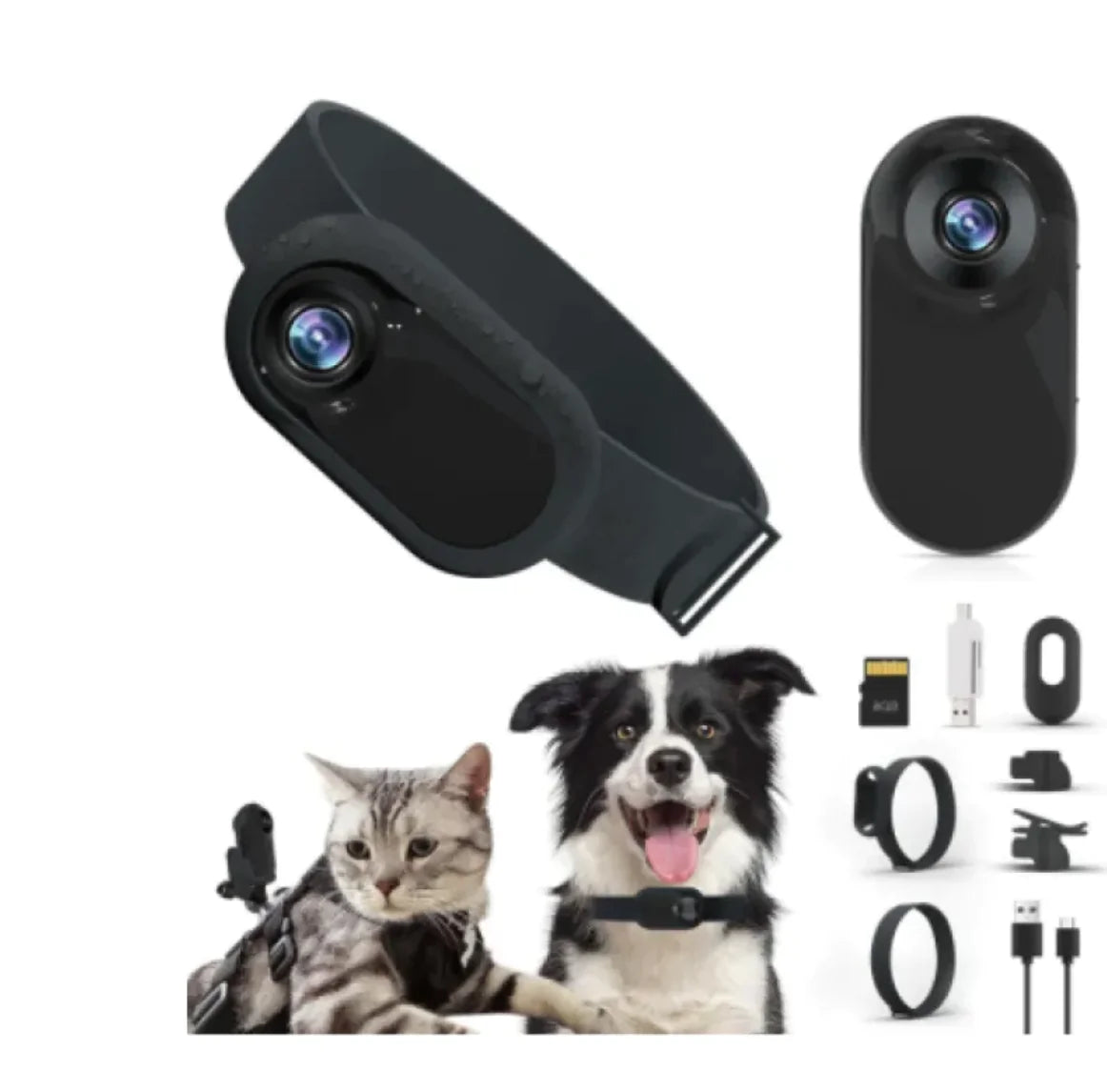 Paws Collar Wireless Pet Camera – Wearable Camera for Dogs & Cats